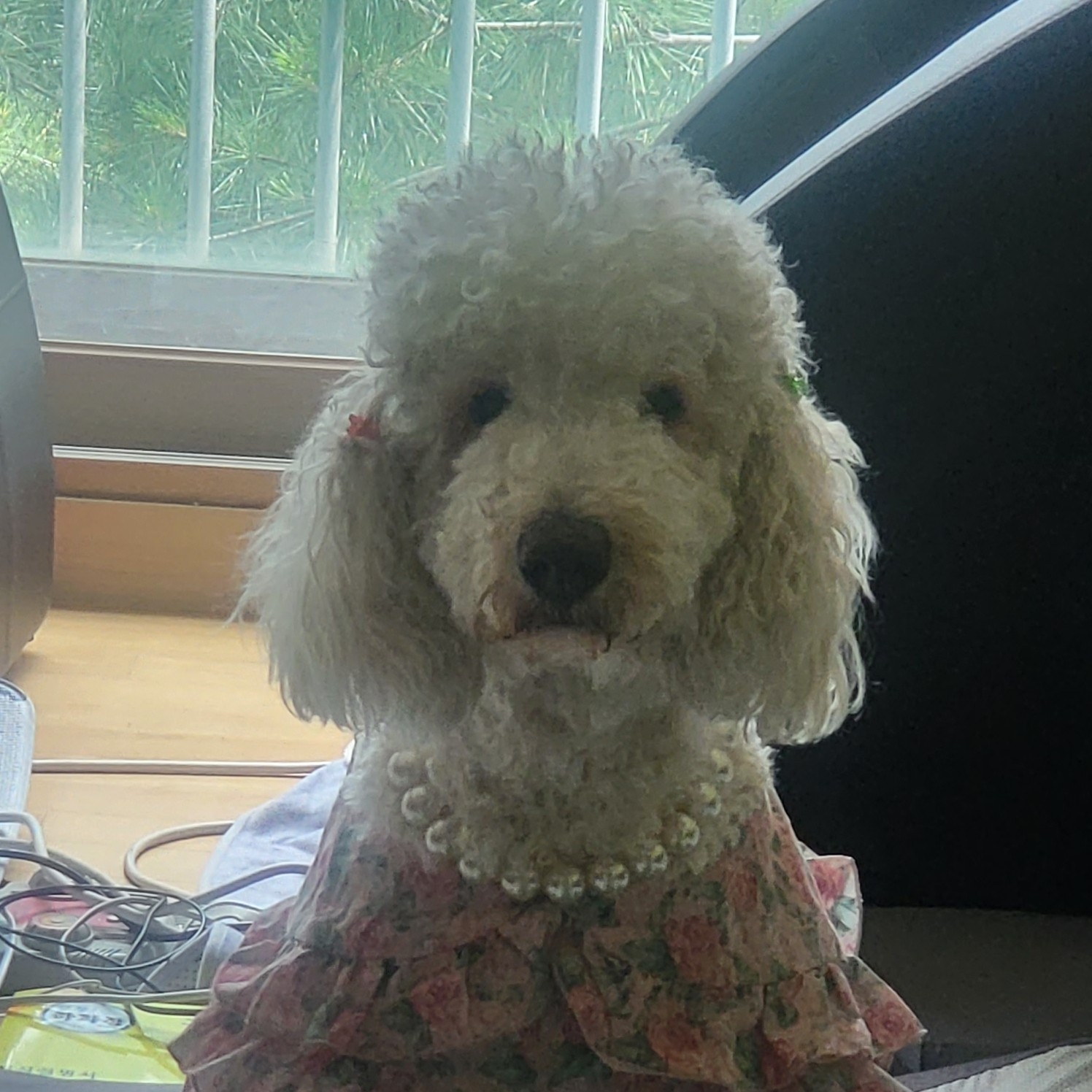 or**** profile image