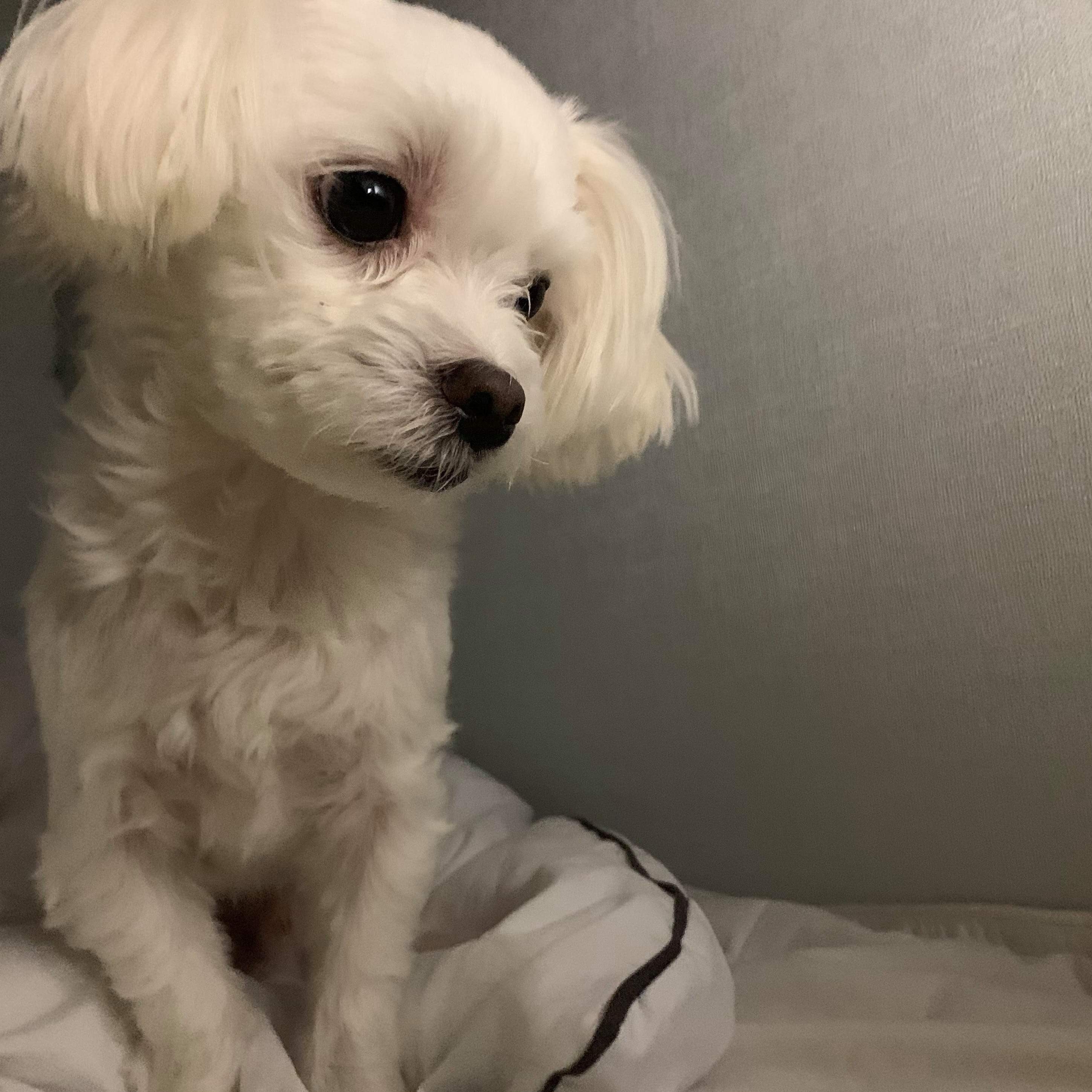 mc***** profile image