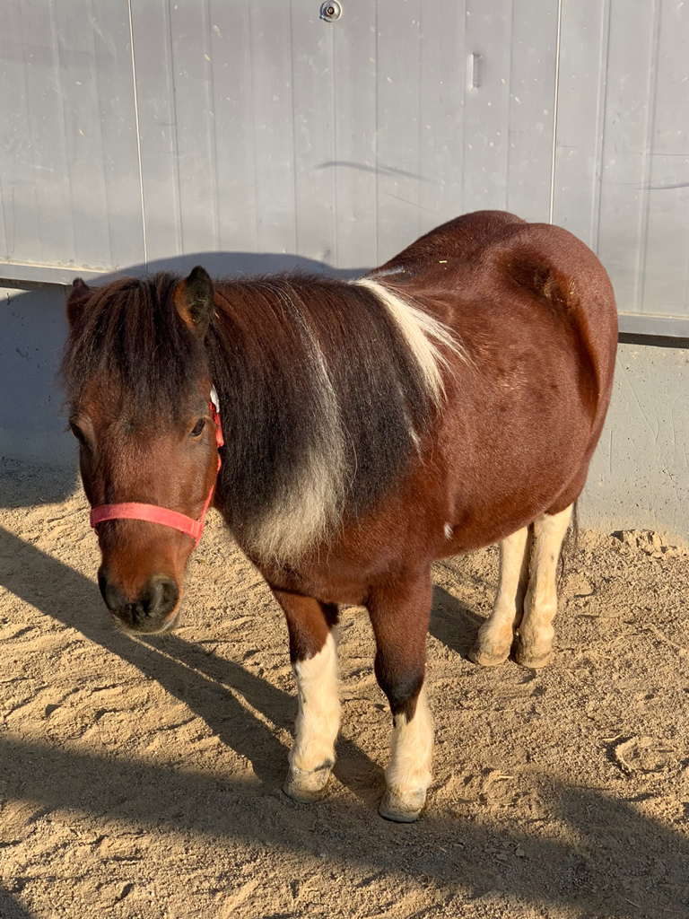 yu******* profile image