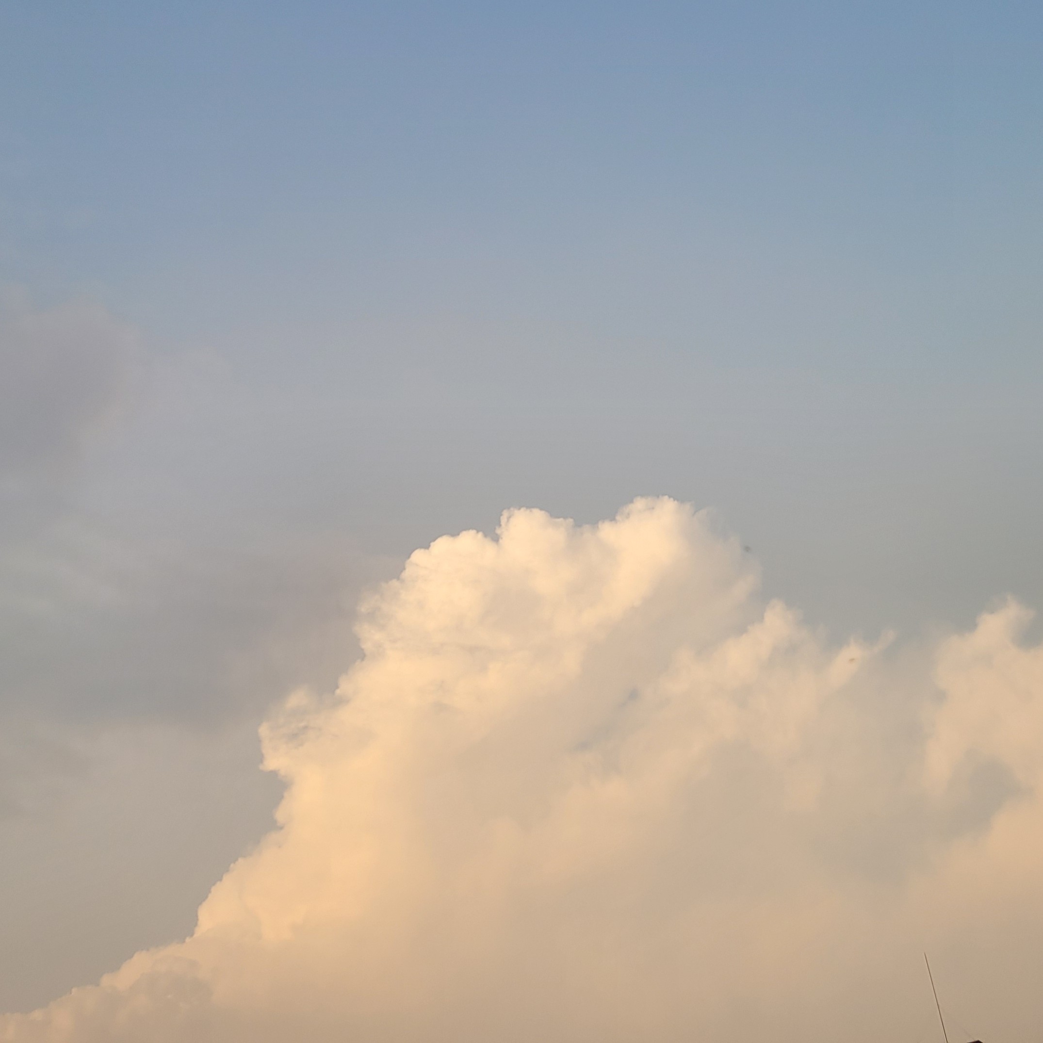 dl***** profile image