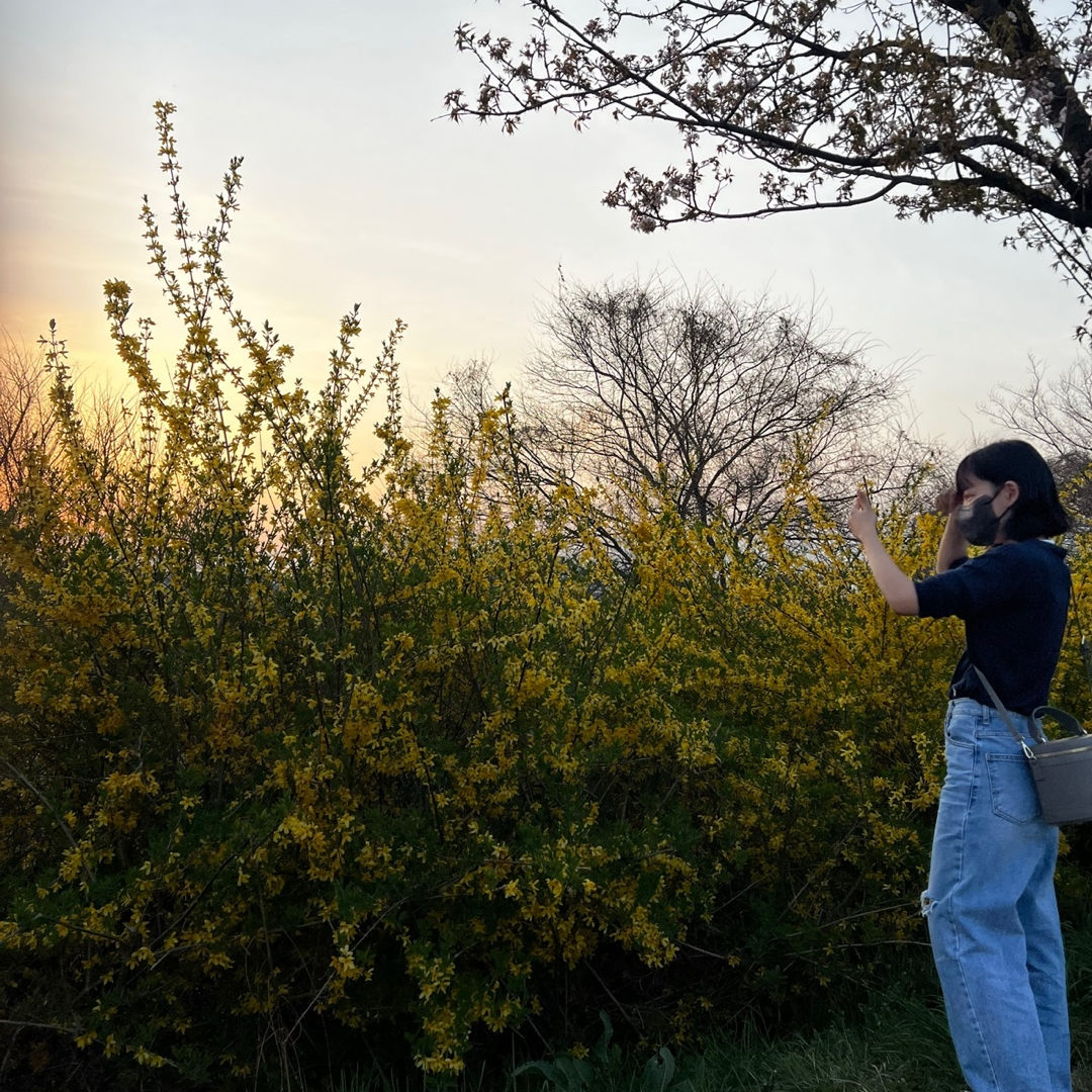 ak********* profile image