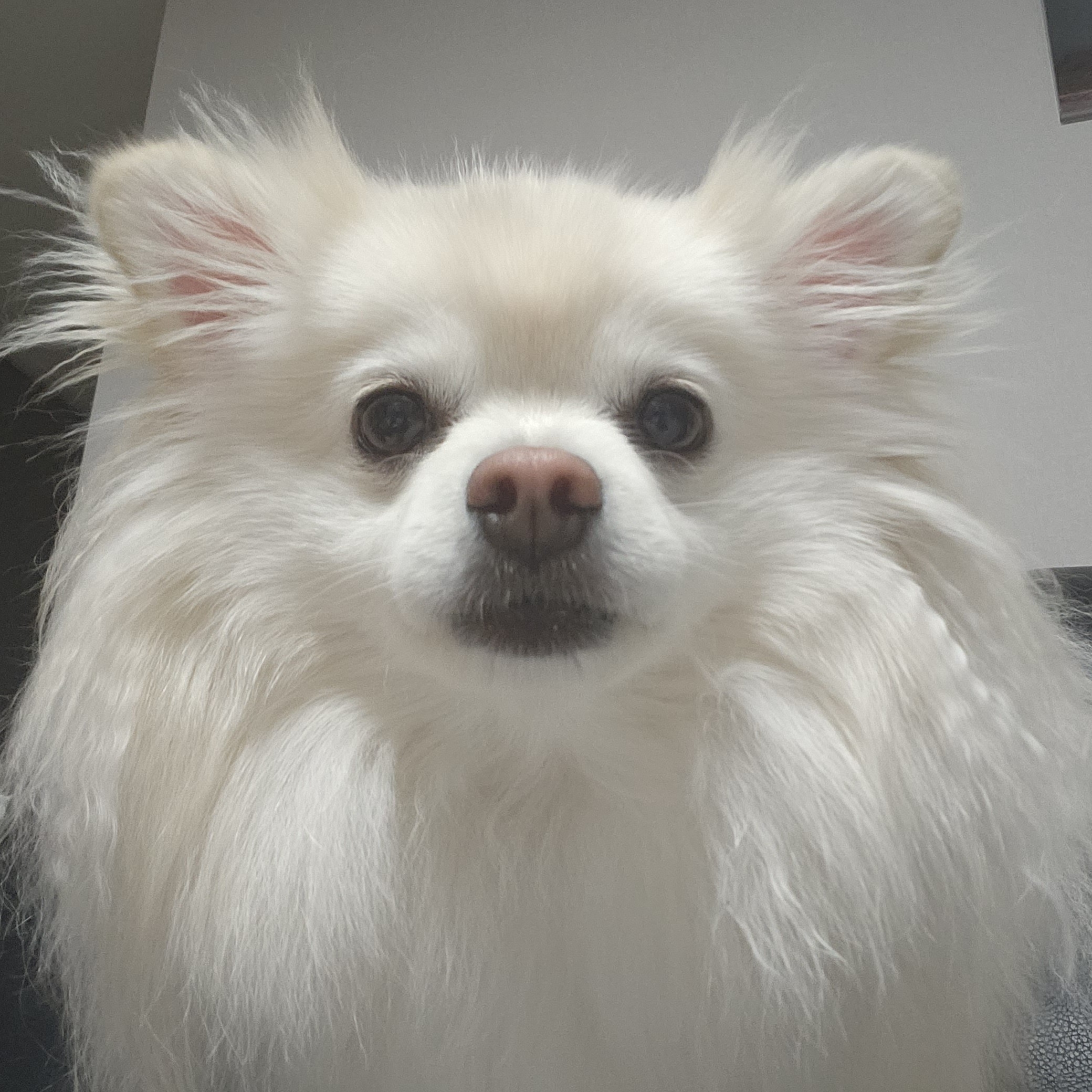 li***** profile image