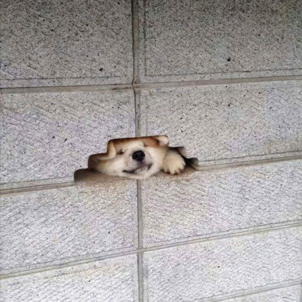 db******* profile image