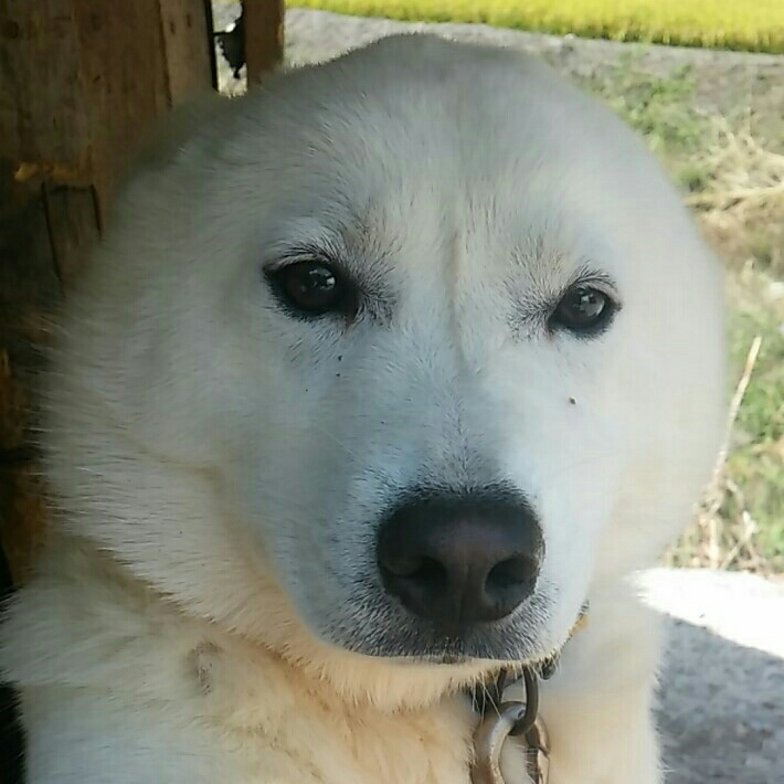 qh****** profile image