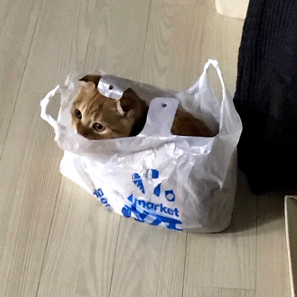 dl********** profile image