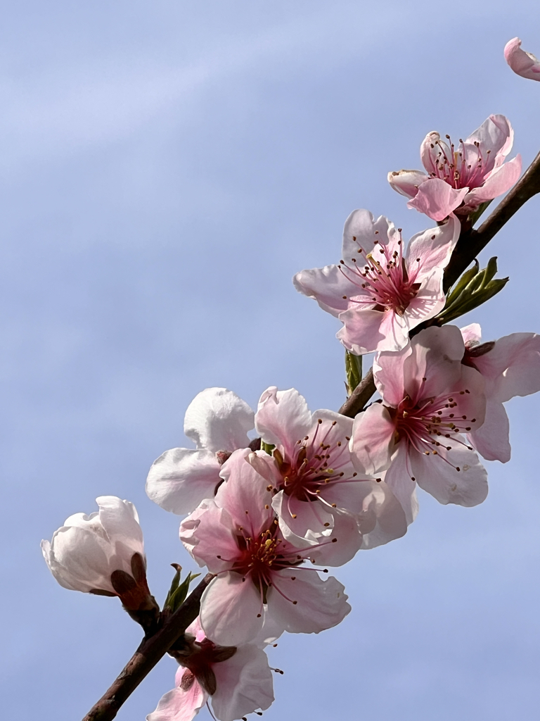 cm**** profile image