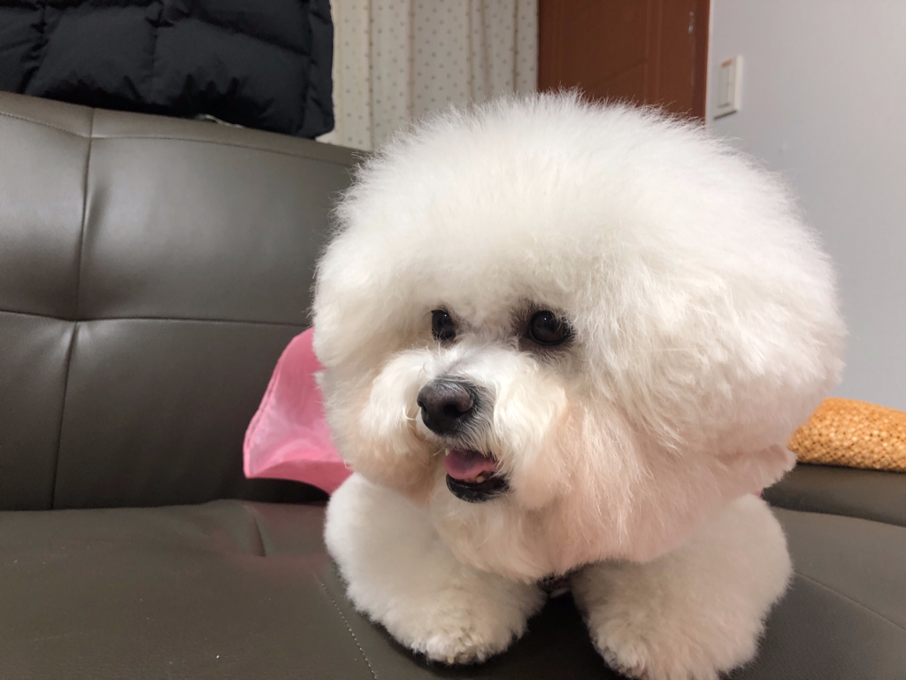 mi****** profile image