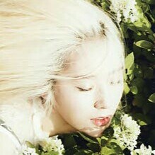 rh********* profile image