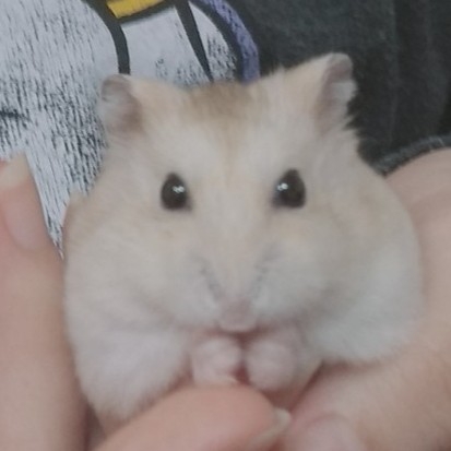 ra********** profile image