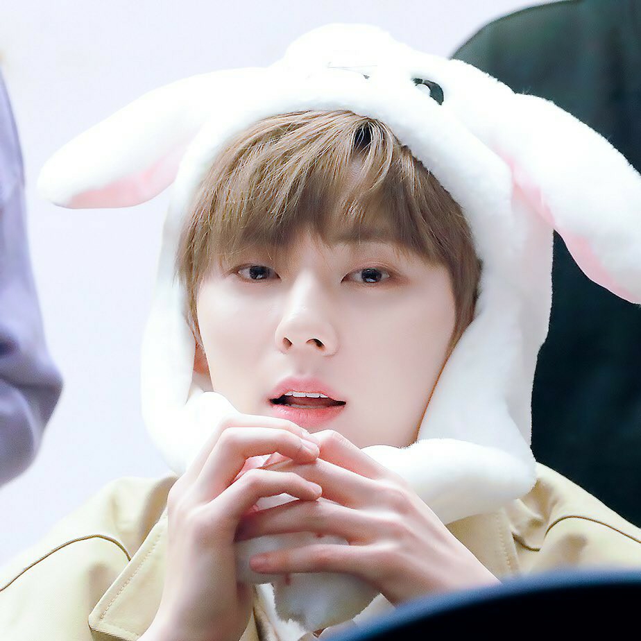 Hwahae User profile image