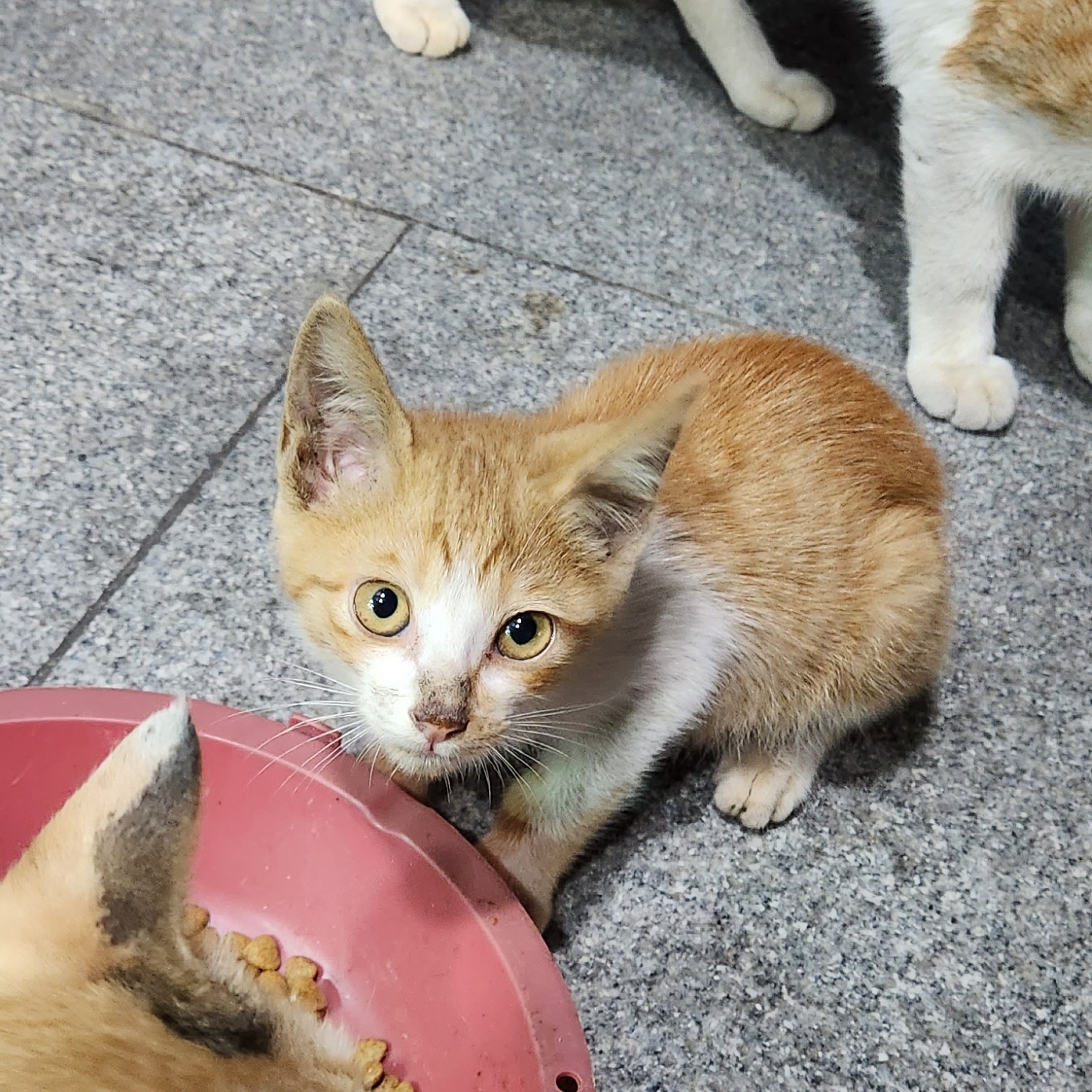 ji***** profile image