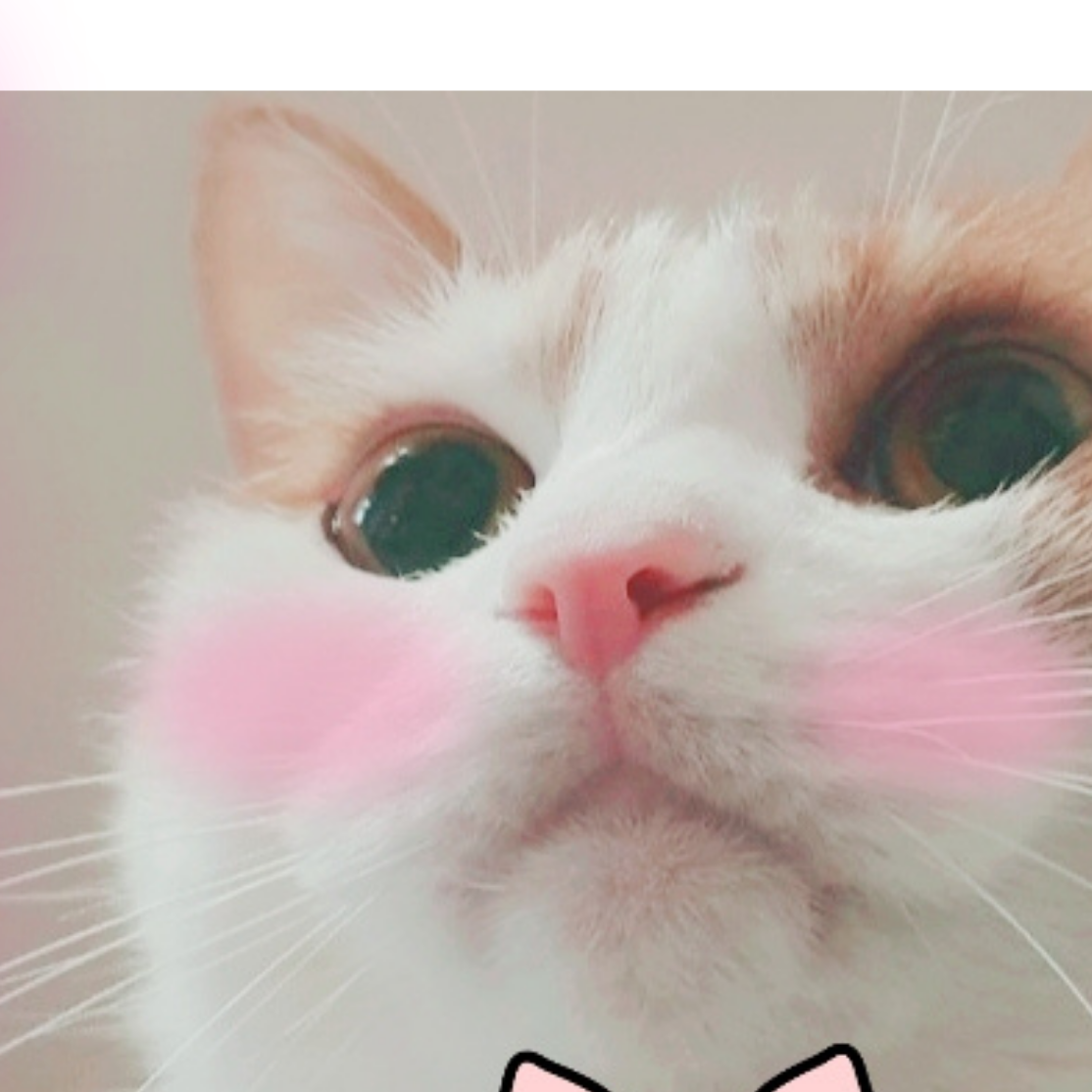 mk**** profile image