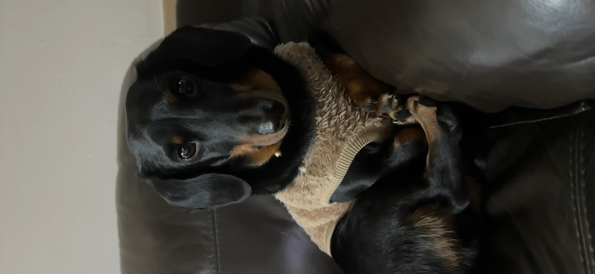 ki******* profile image