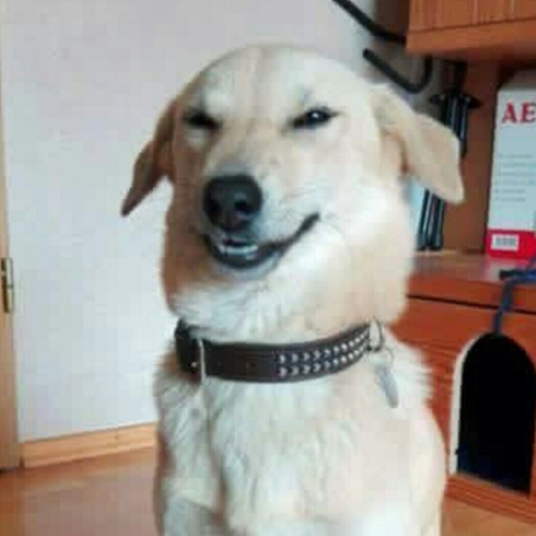 sh***** profile image