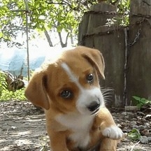 na******** profile image