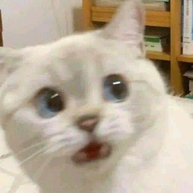 ba***** profile image