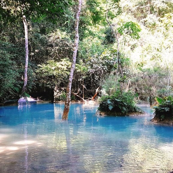 th******* profile image