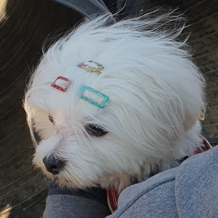 se******* profile image