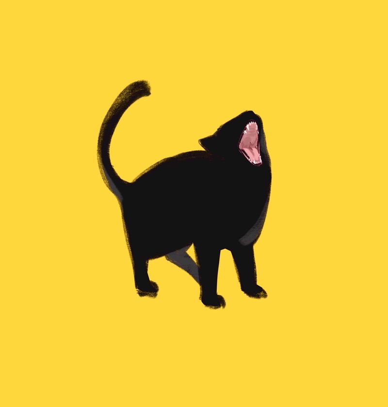 ji****** profile image