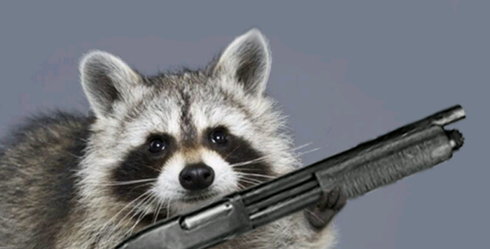 ch******** profile image