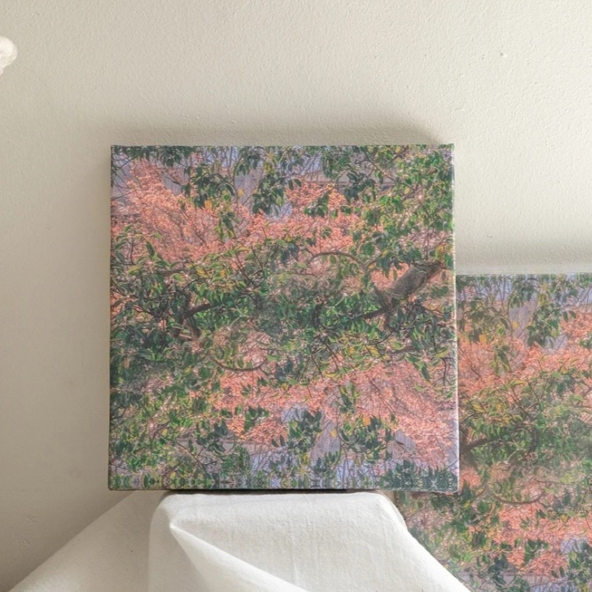 wi******* profile image