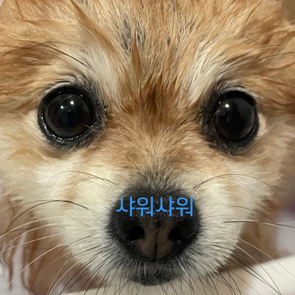 kb**** profile image