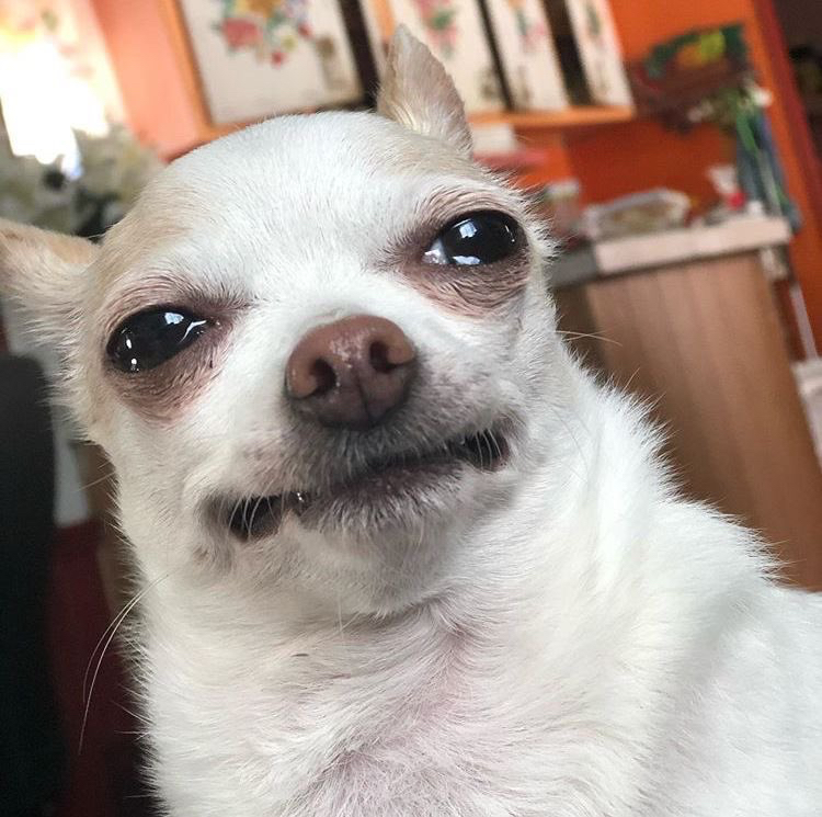 ao***** profile image