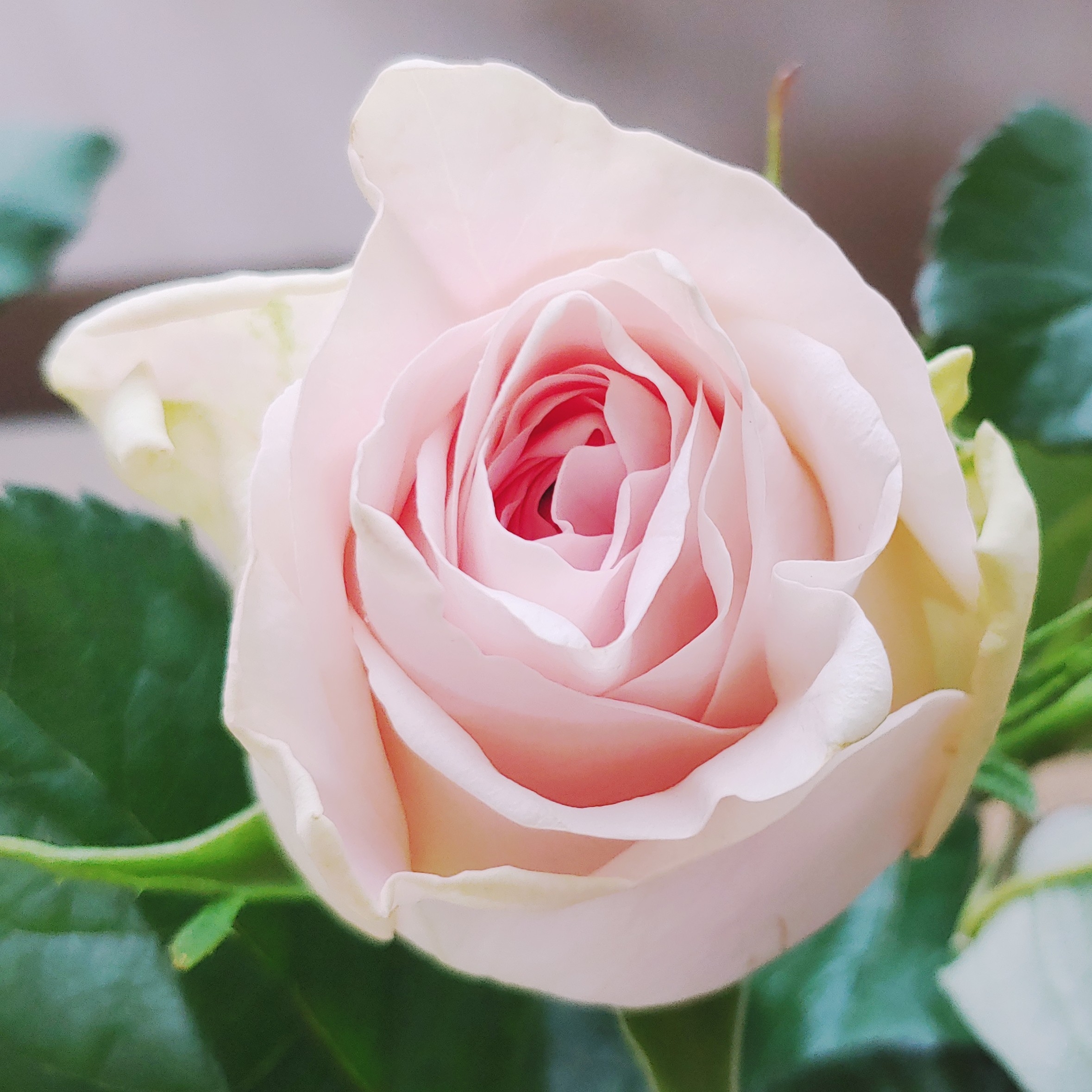 mo******** profile image