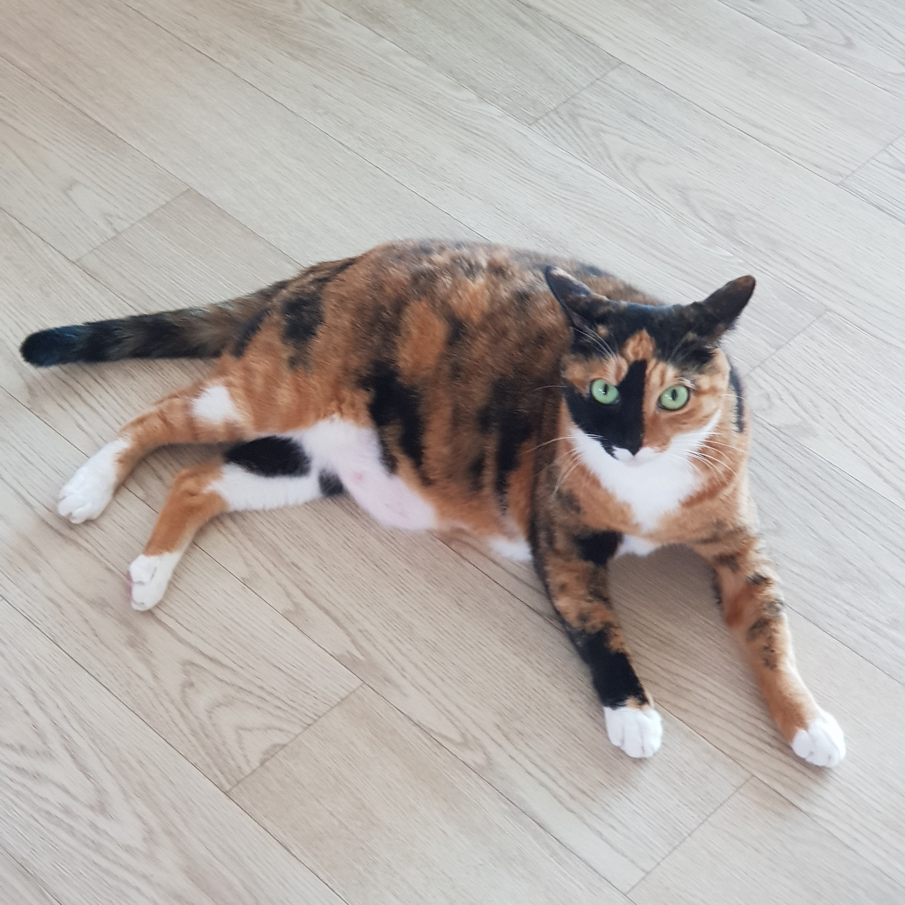 p9**** profile image