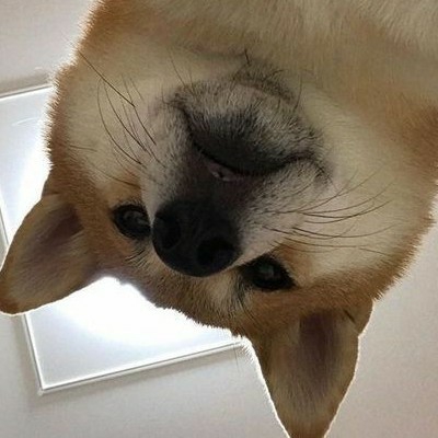 ar******** profile image