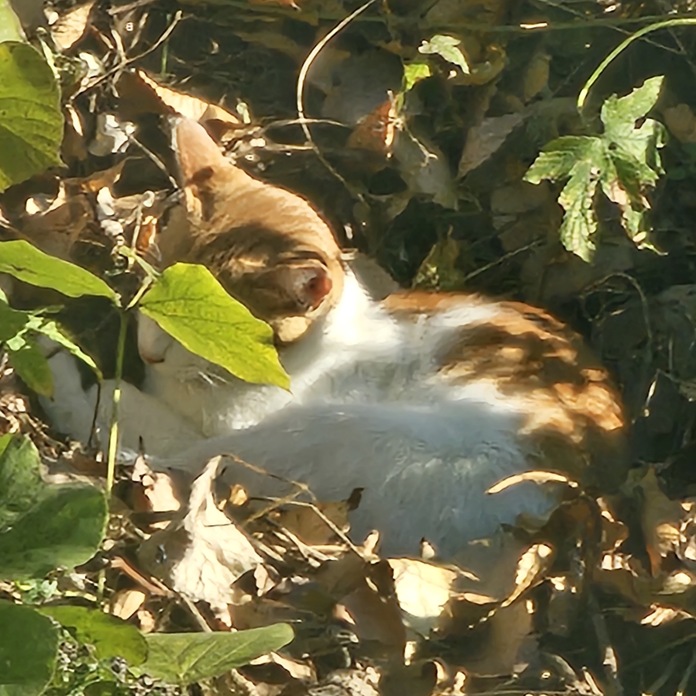 ej****** profile image