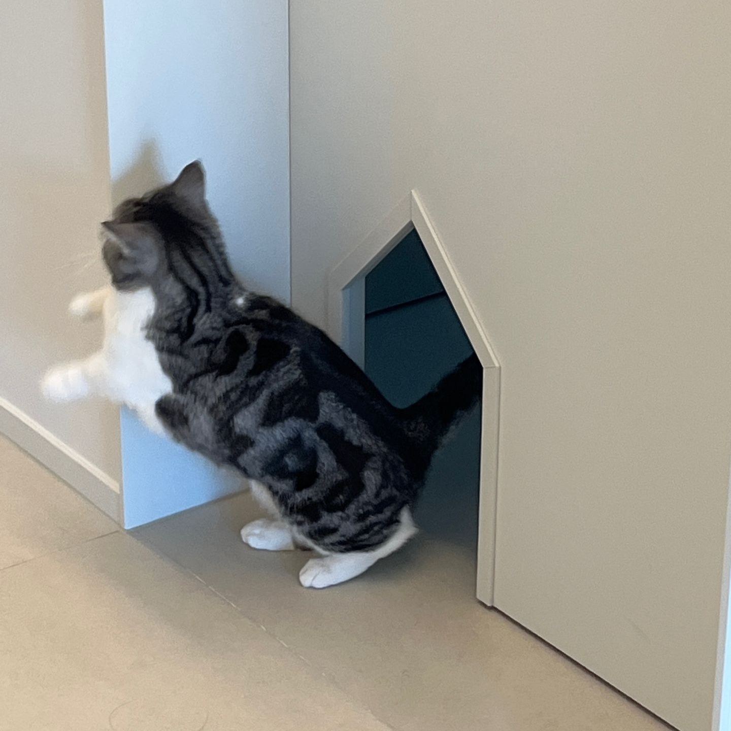 85**** profile image