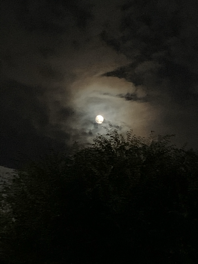 cj********* profile image