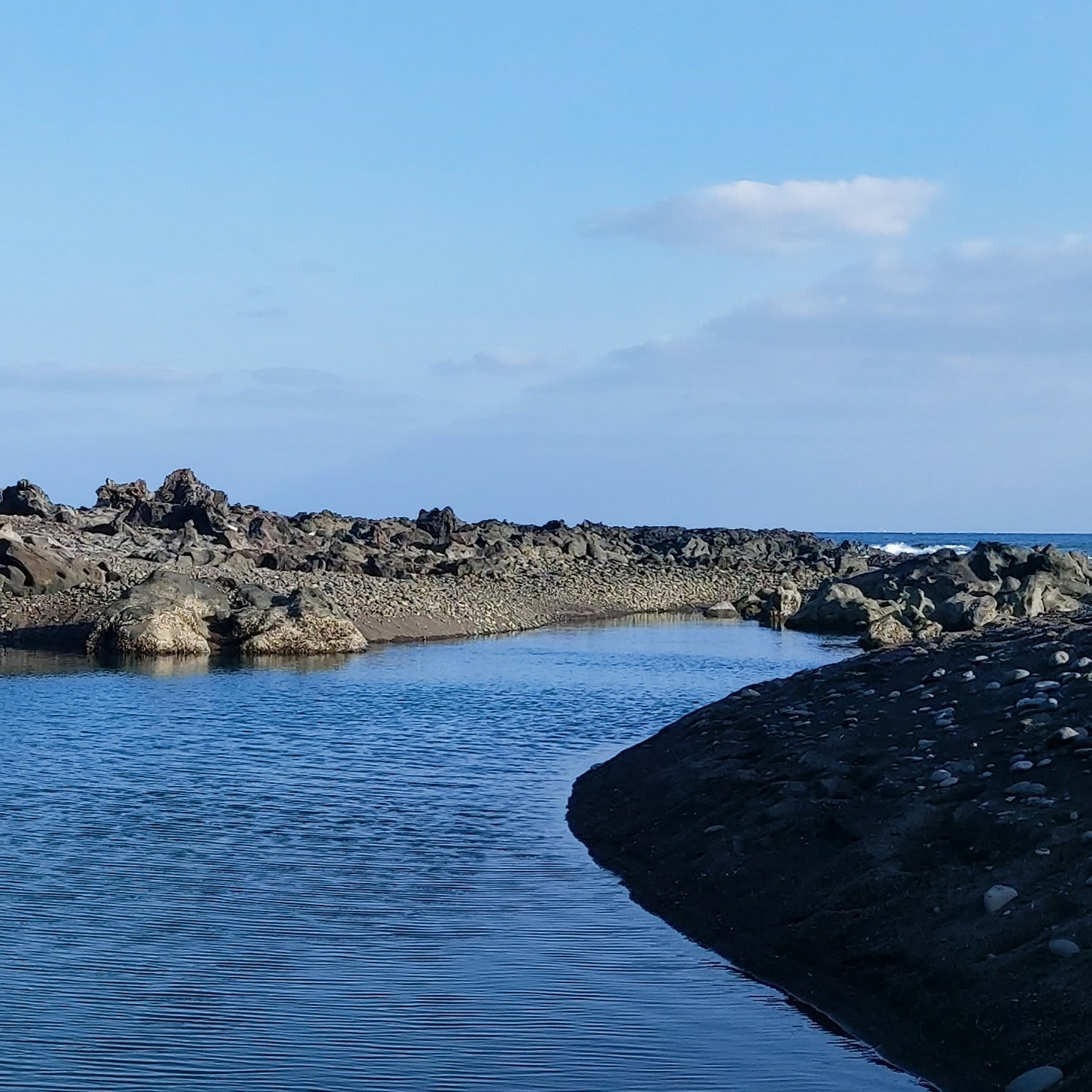 ha****** profile image