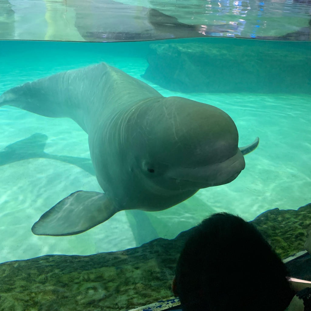 f_*********** profile image