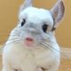 qk****** profile image