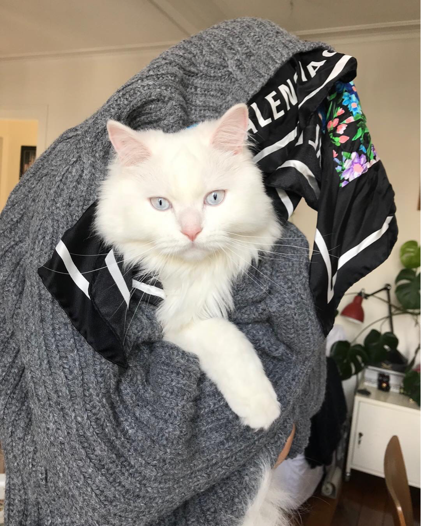 dm******** profile image