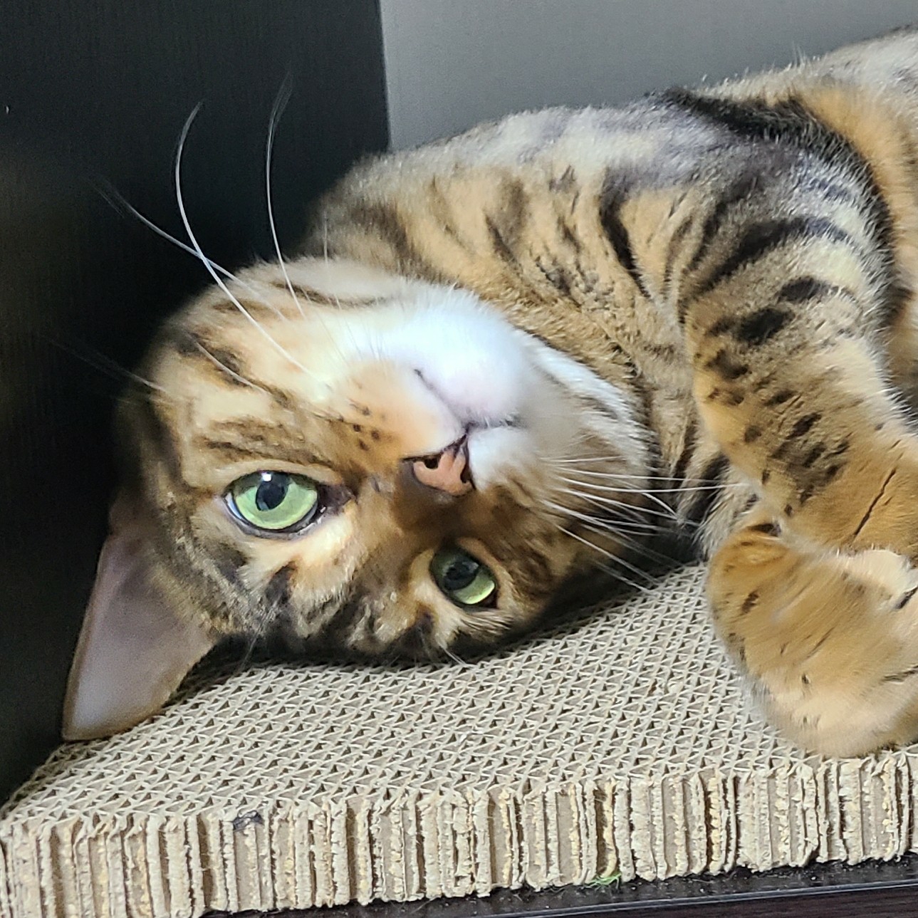 mi**** profile image