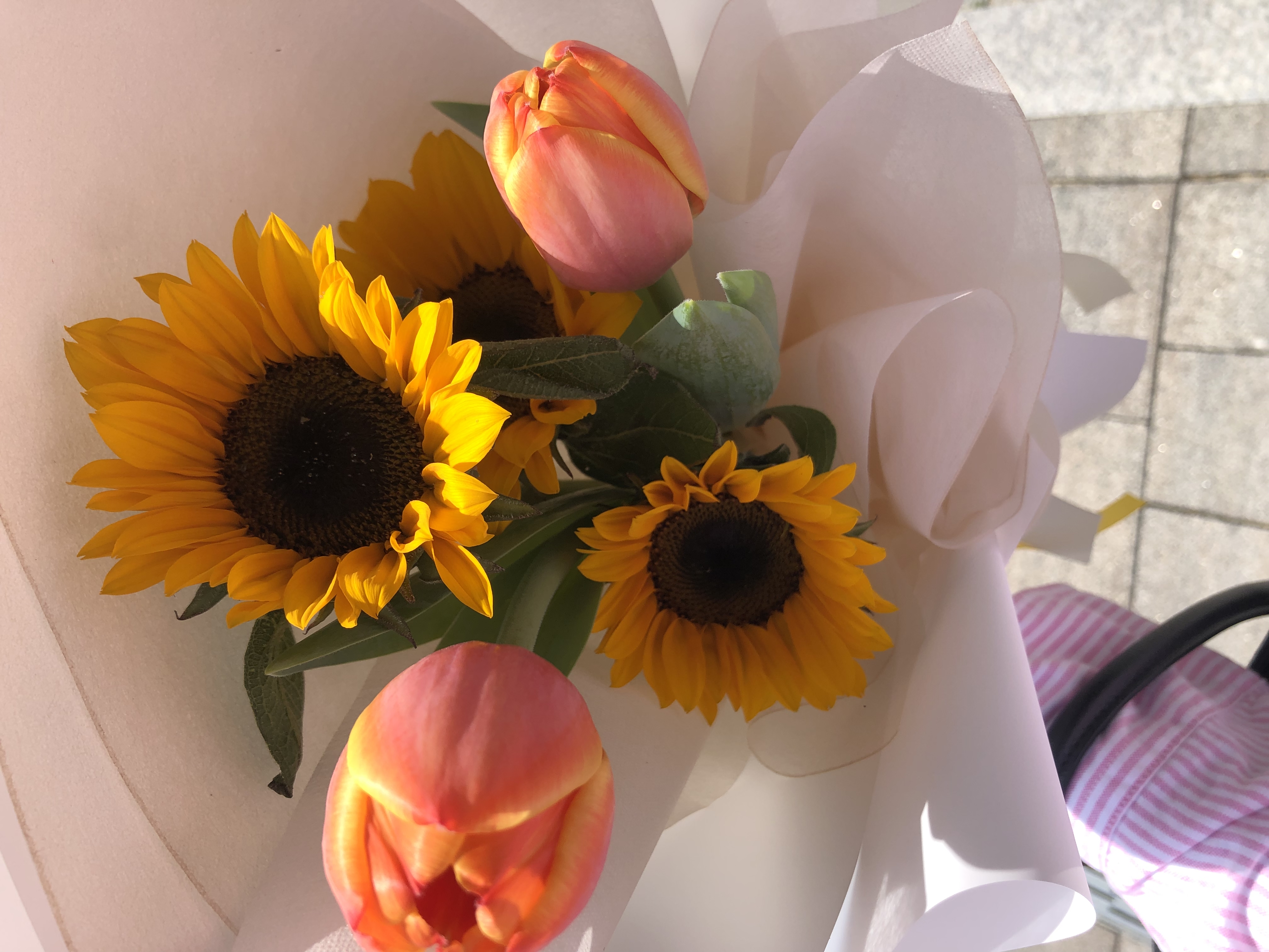 sp********** profile image