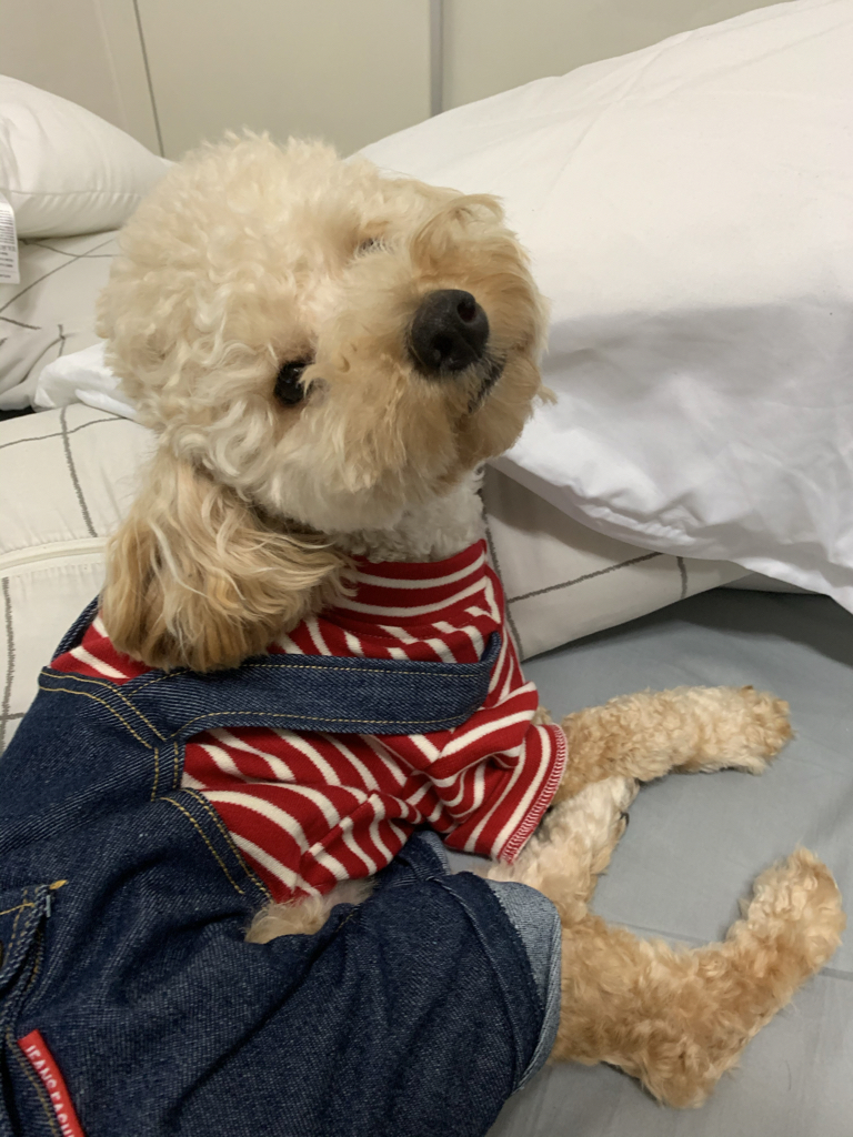 kd***** profile image