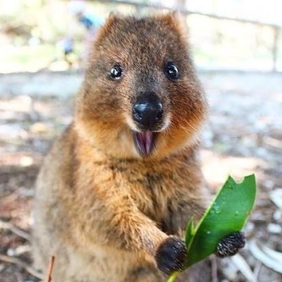 dl****** profile image