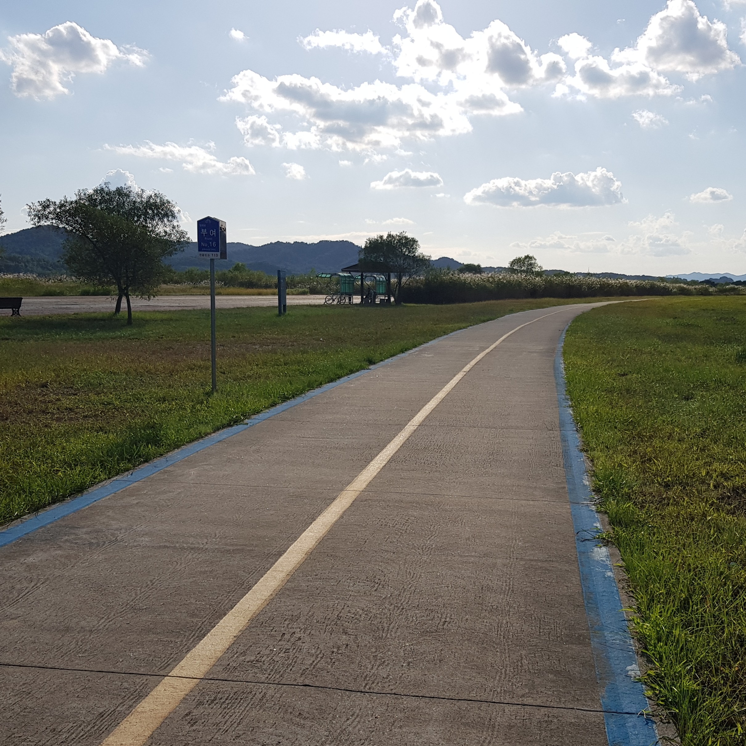 mi****** profile image