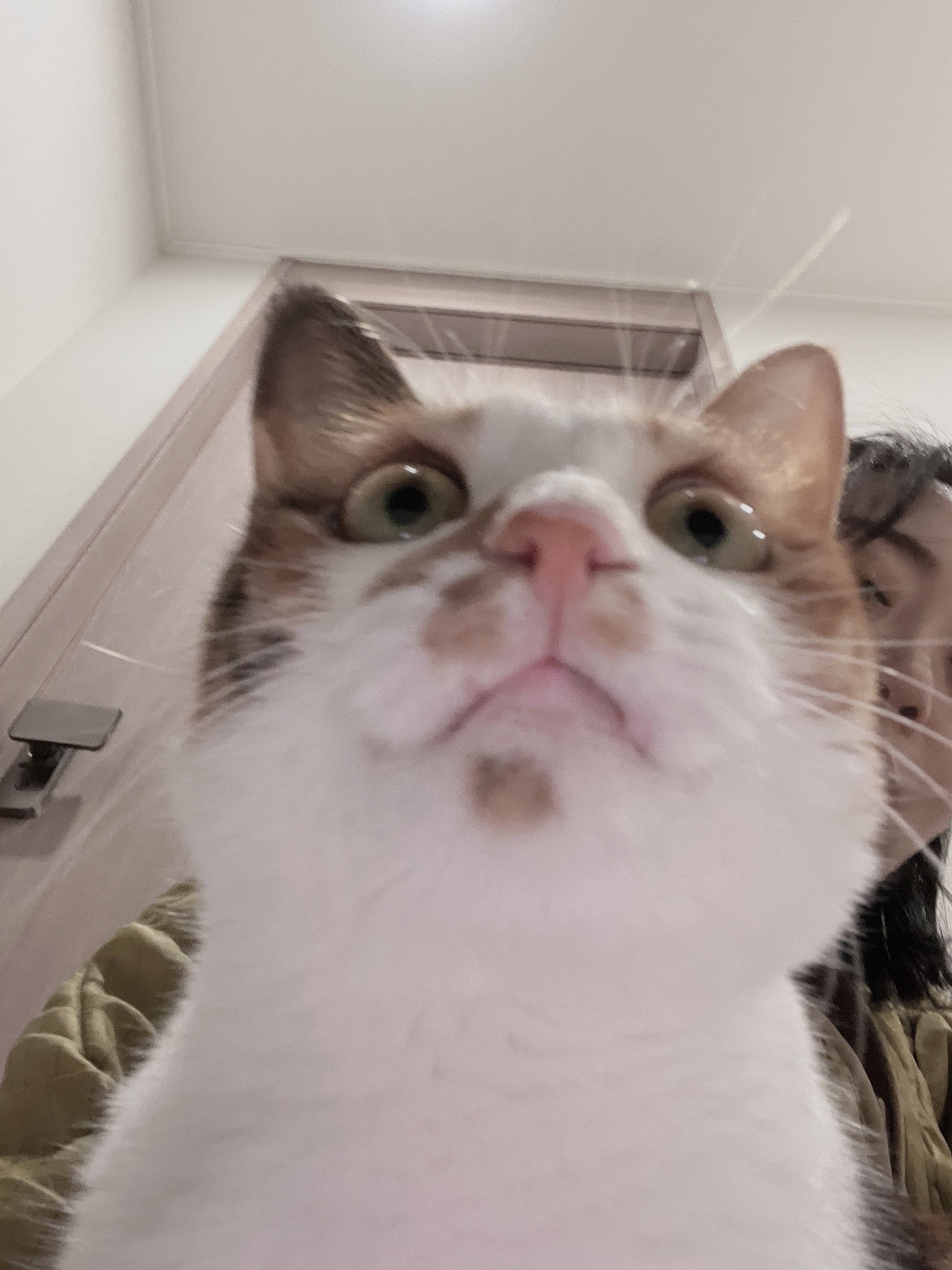 en******* profile image
