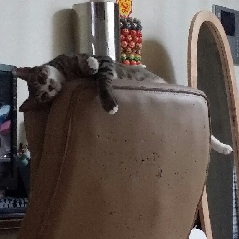 wh******* profile image