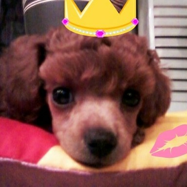 lg***** profile image