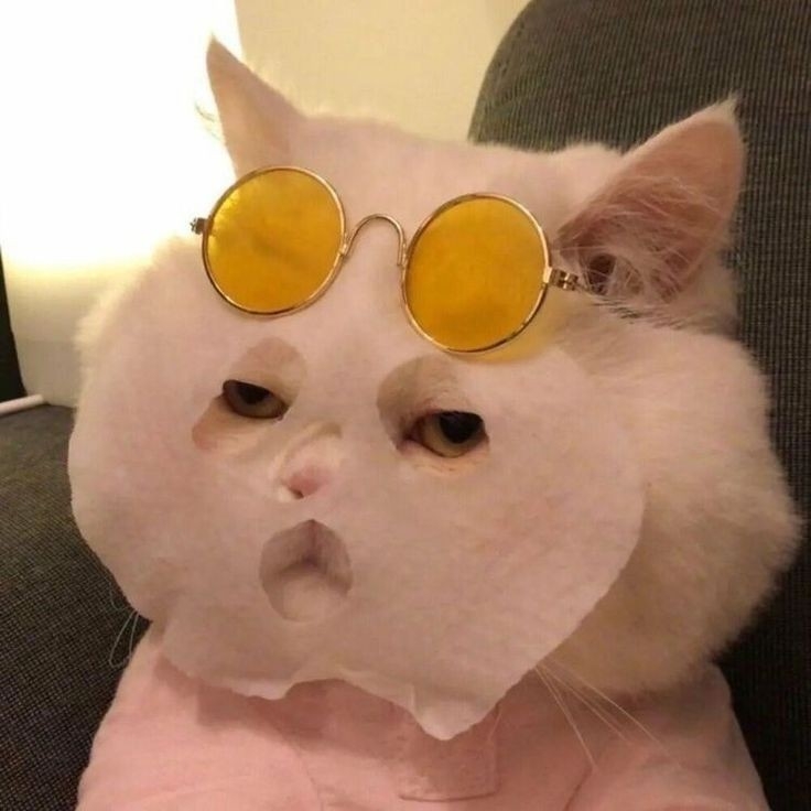dm********* profile image