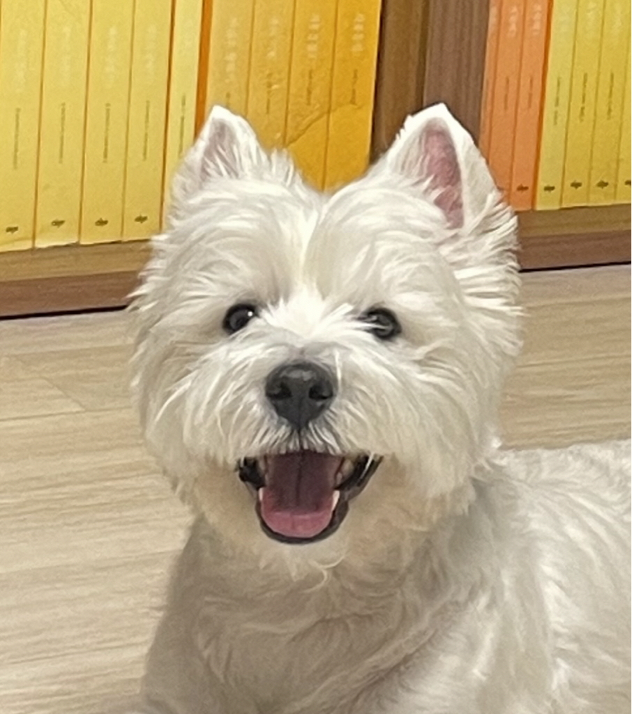 pr******* profile image