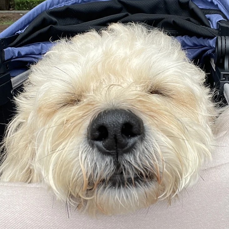 ho********** profile image