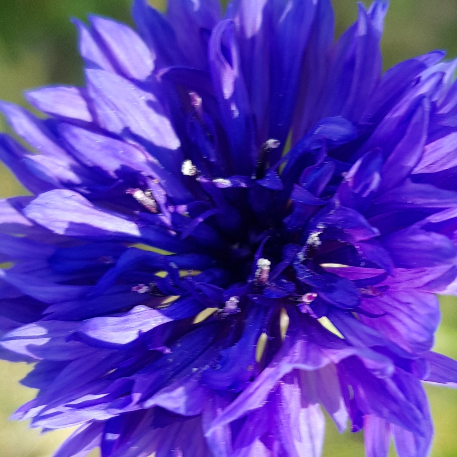 ad********* profile image