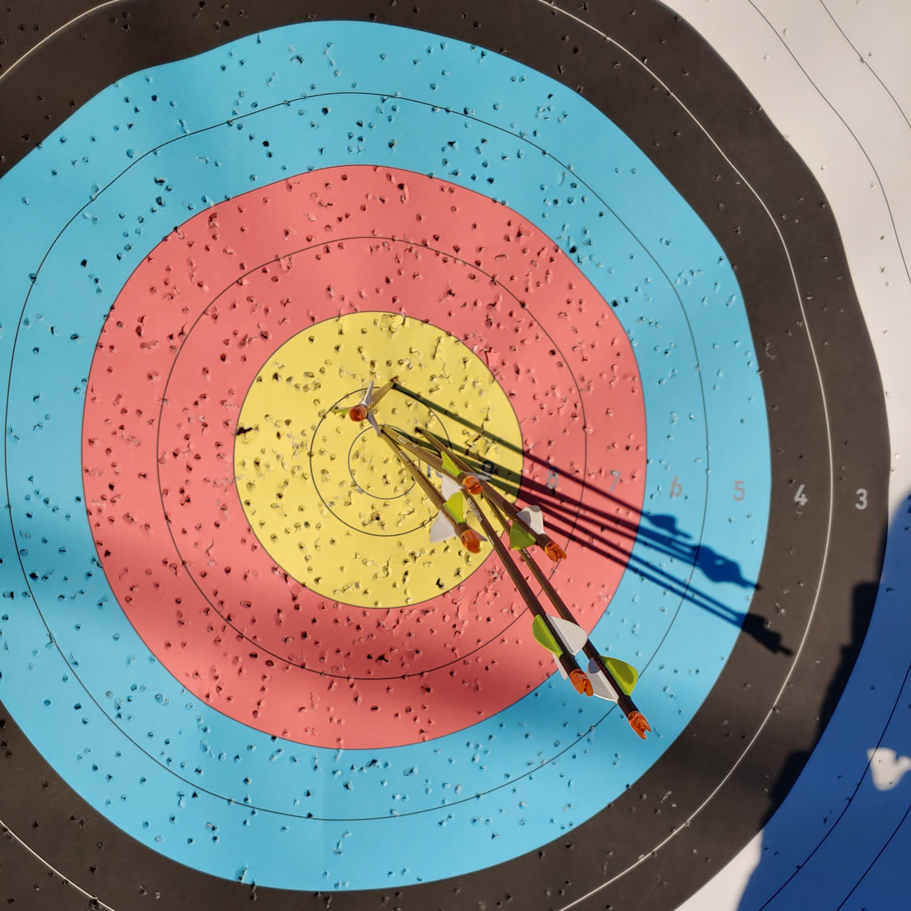 eg********** profile image